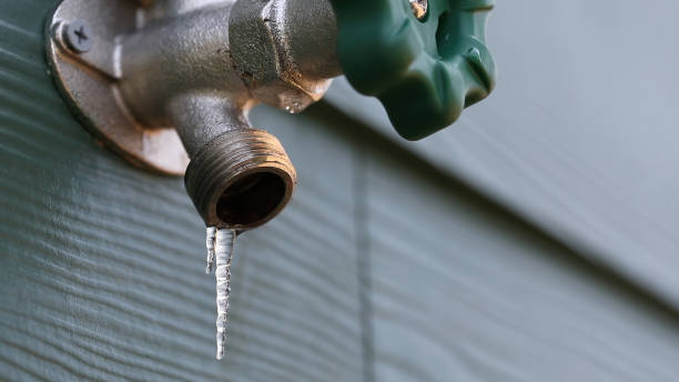 Best Plumbing Inspection Services  in Port Angeles East, WA